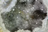 Las Choyas Coconut Geode Half with Quartz & Calcite - Mexico #145865-1